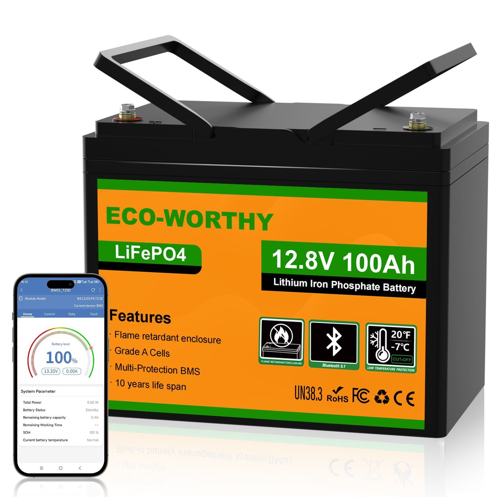ECO-WORTHY 12V 100Ah LiFePO4 Lithium Battery